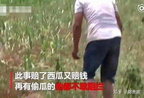 遂宁吃瓜最新事件爆料视频,最新爆料视频揭露惊人真相  第3张